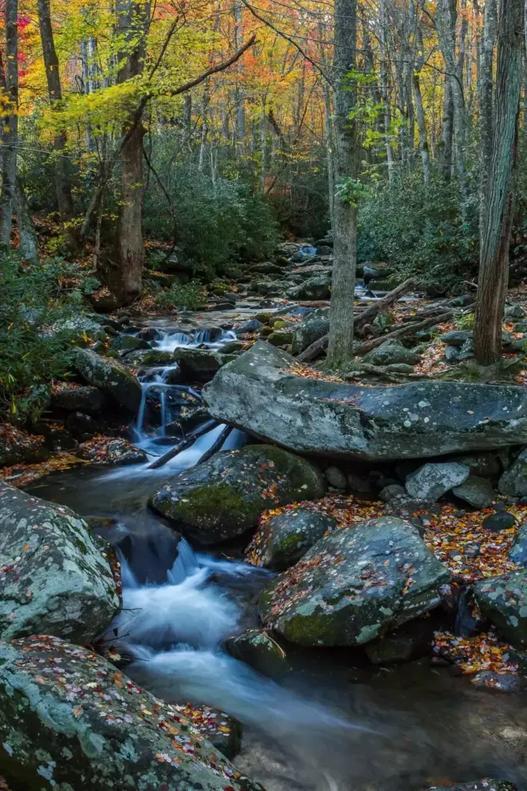 Mountain stream on the Roaring Fork Motor Nature Trail, Gatlinburg TN